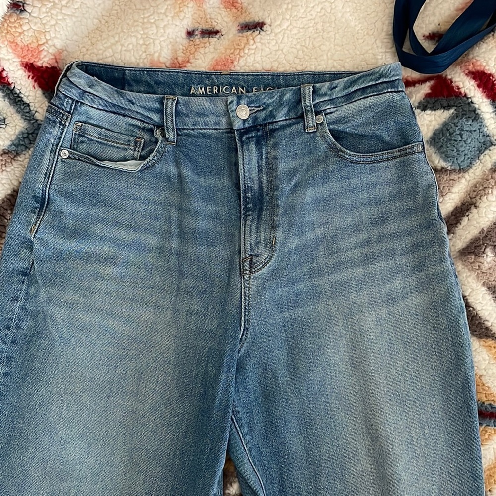 AE Curvy Mom Jean size 12 reg